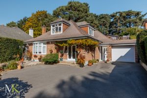 Photo 39- click for photo gallery